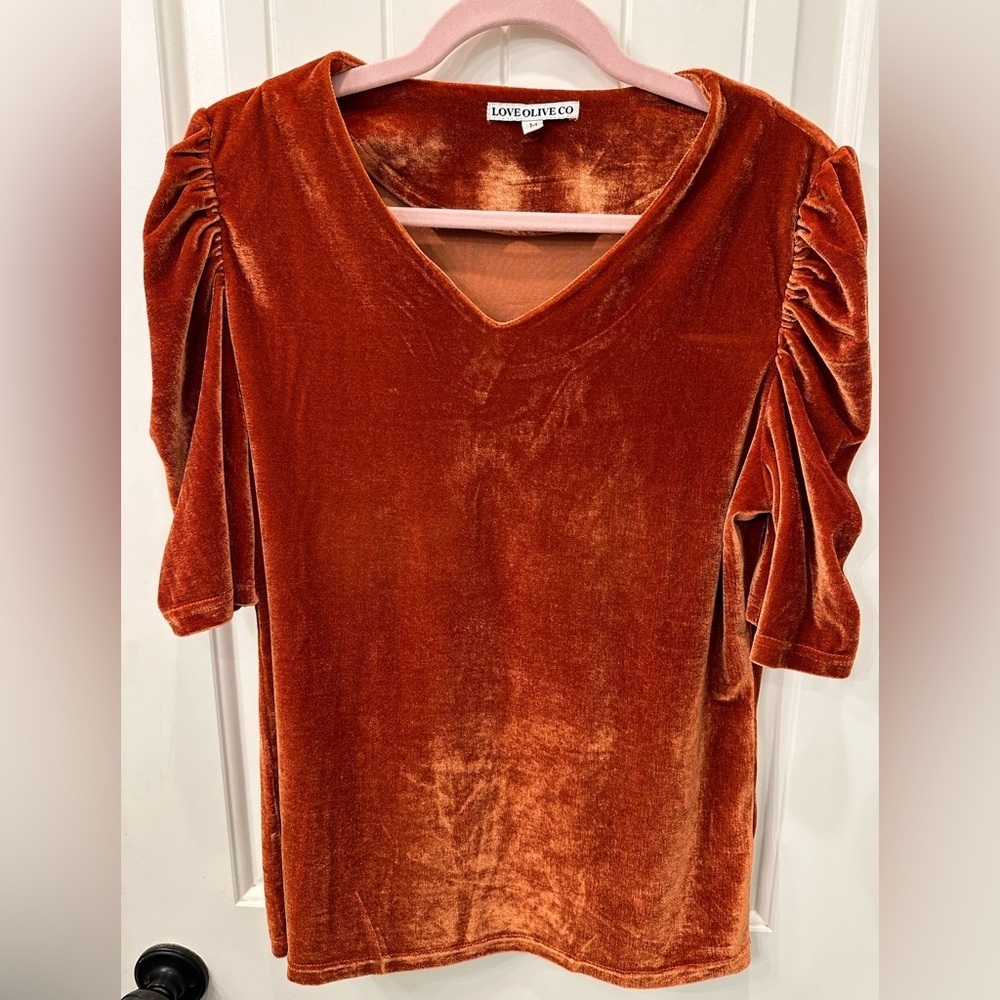 Love Olive Co Velvet Rust V-Neck Top Puff Sleeve M